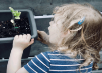 Fast Growing Plants For Science Projects