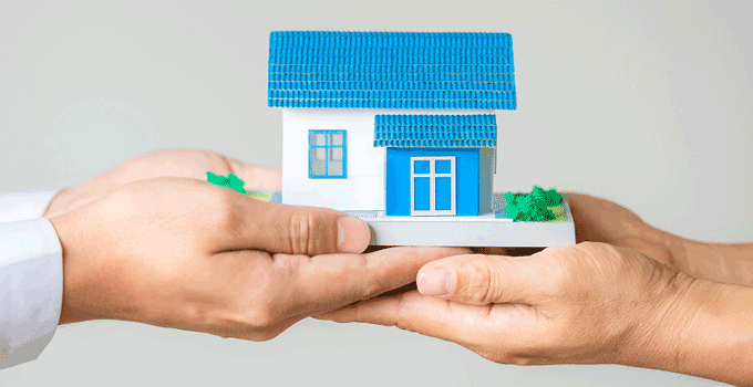 best granny flat floor plan