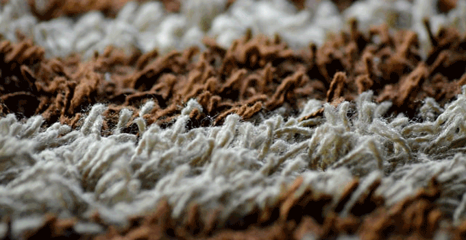 things hide in carpet