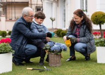 front yard curb appeal ideas
