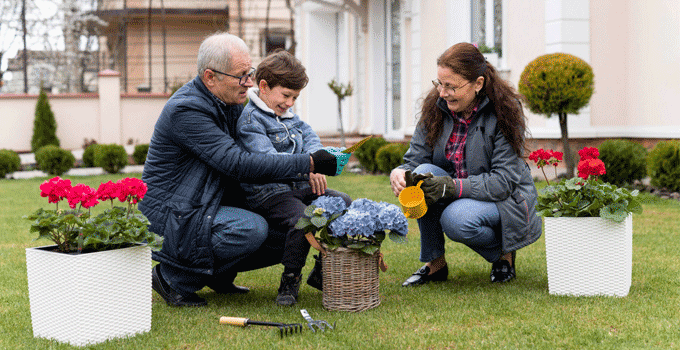 front yard curb appeal ideas