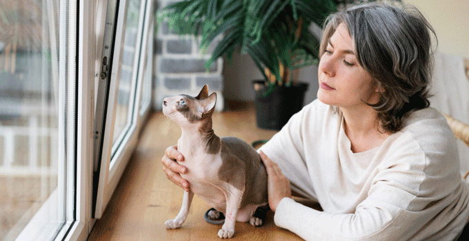 how to choose a pet door