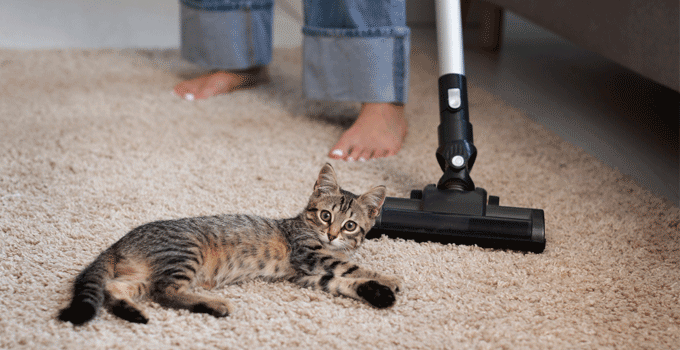 pet-friendly home cleaning tips